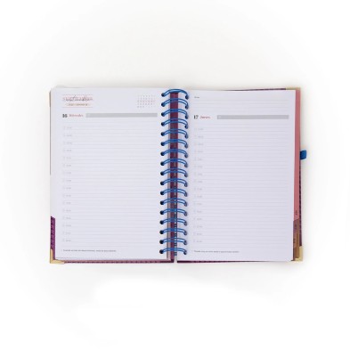 Agenda diaria Office La vida es hoy Mr. Wonderful | 2026 |