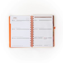 Agenda Office semanal 2026 Sin reglas, solo actitud Mr. Wonderful